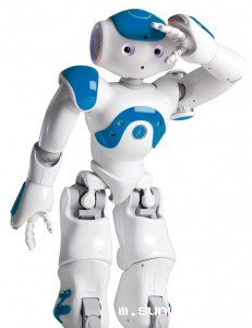 常见的雷竞技竞彩平台有哪些种类？